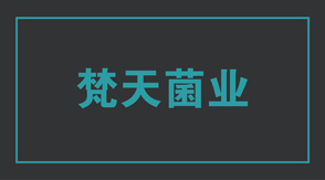 食品行业浙江冲锋衣设计款式